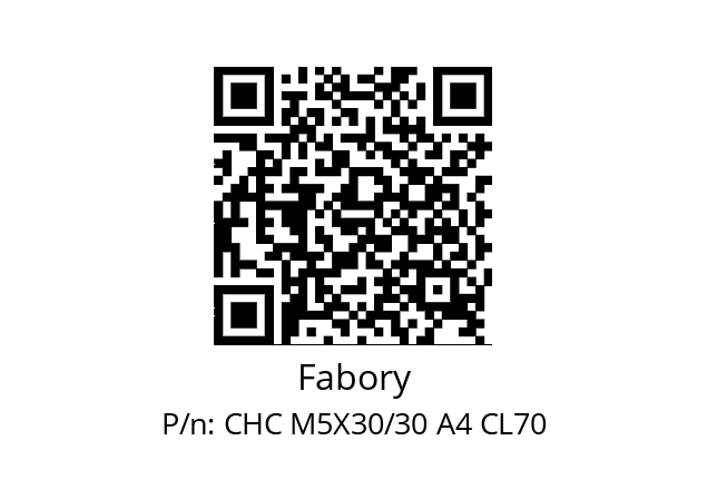   Fabory CHC M5X30/30 A4 CL70