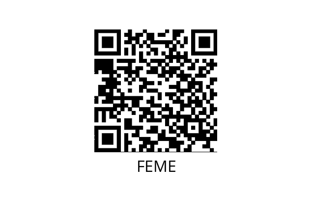  FT A 002 30 01 FEME 