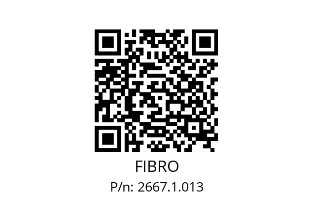   FIBRO 2667.1.013