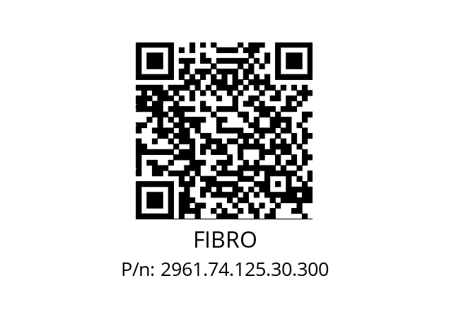   FIBRO 2961.74.125.30.300