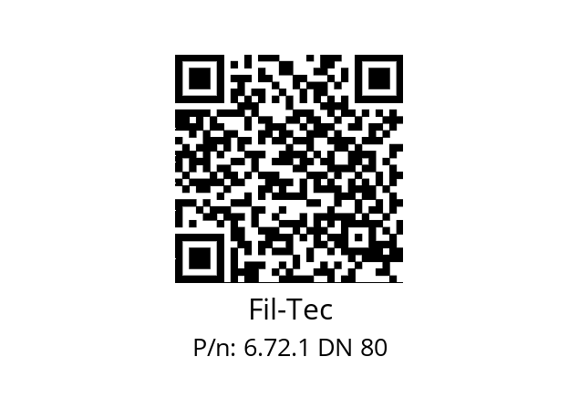   Fil-Tec 6.72.1 DN 80