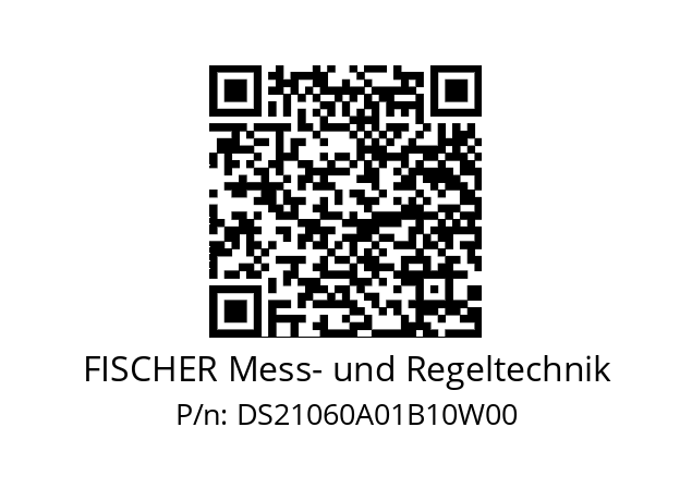   FISCHER Mess- und Regeltechnik DS21060A01B10W00