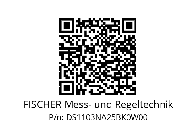   FISCHER Mess- und Regeltechnik DS1103NA25BK0W00