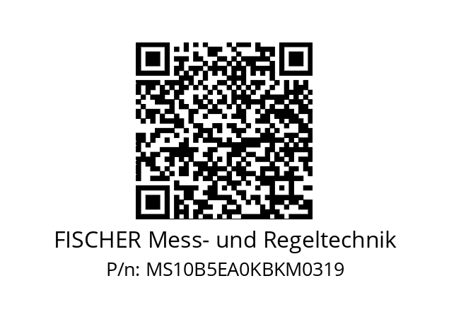   FISCHER Mess- und Regeltechnik MS10B5EA0KBKM0319