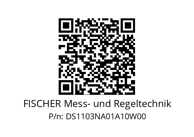   FISCHER Mess- und Regeltechnik DS1103NA01A10W00