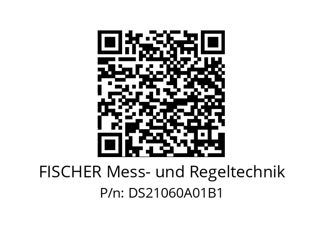   FISCHER Mess- und Regeltechnik DS21060A01B1