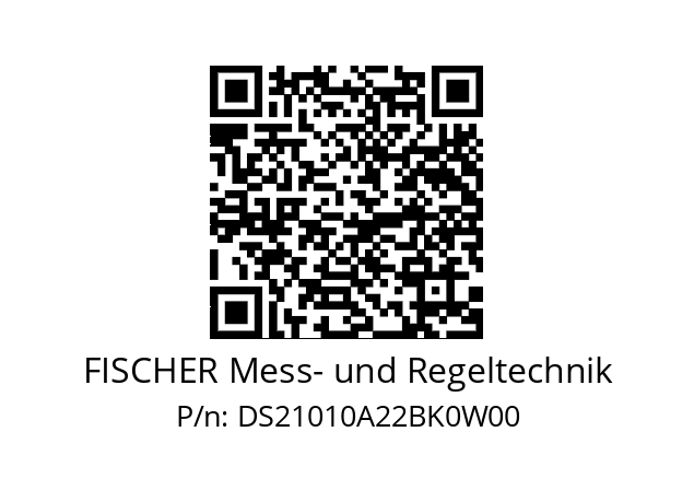   FISCHER Mess- und Regeltechnik DS21010A22BK0W00