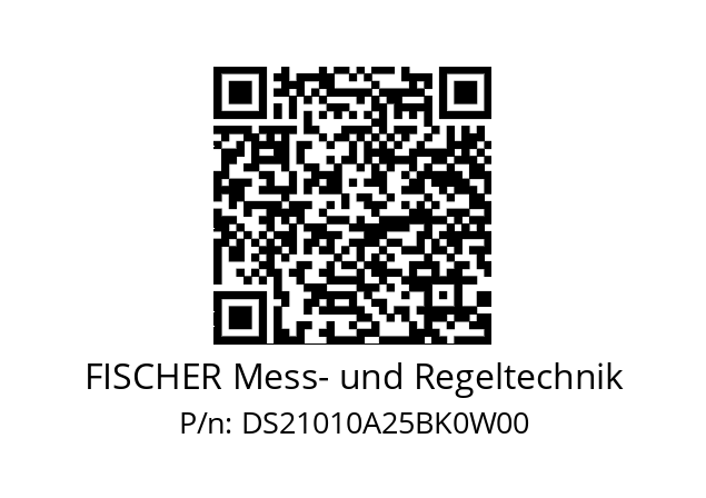   FISCHER Mess- und Regeltechnik DS21010A25BK0W00