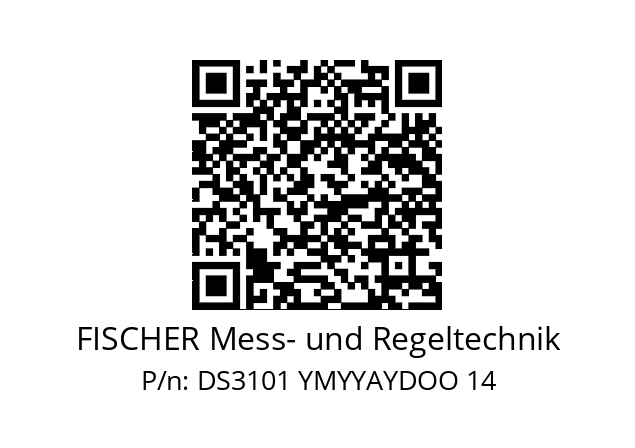   FISCHER Mess- und Regeltechnik DS3101 YMYYAYDOO 14