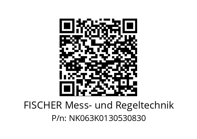   FISCHER Mess- und Regeltechnik NK063K0130530830