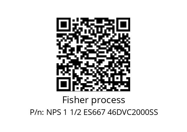   Fisher process NPS 1 1/2 ES667 46DVC2000SS