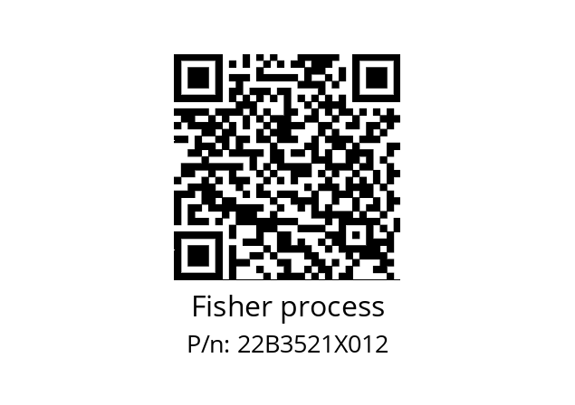   Fisher process 22B3521X012