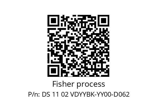   Fisher process DS 11 02 VDYYBK-YY00-D062