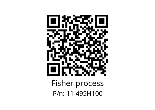   Fisher process 11-495H100