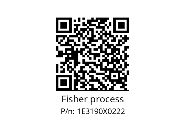   Fisher process 1E3190X0222