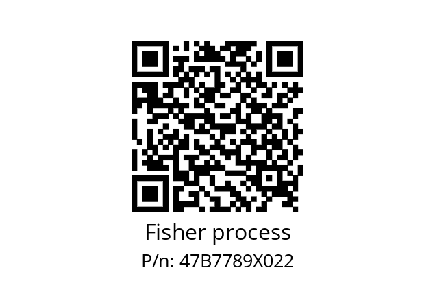   Fisher process 47B7789X022