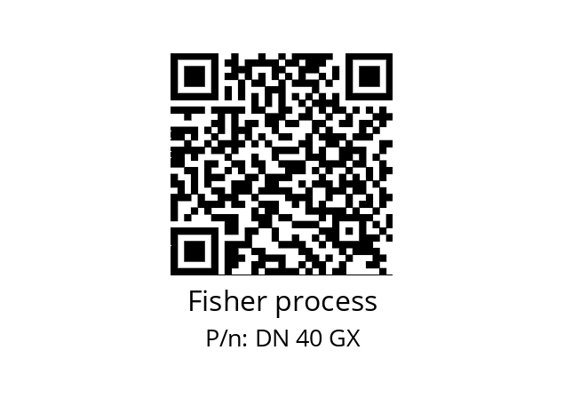   Fisher process DN 40 GX