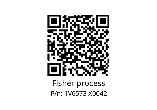   Fisher process 1V6573 X0042