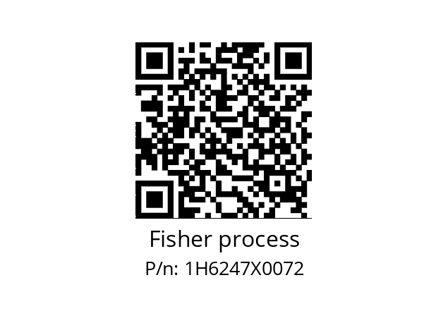   Fisher process 1H6247X0072