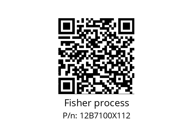   Fisher process 12B7100X112