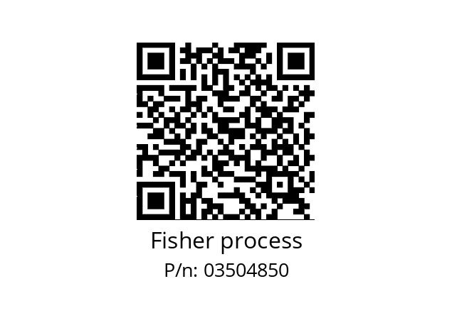   Fisher process 03504850