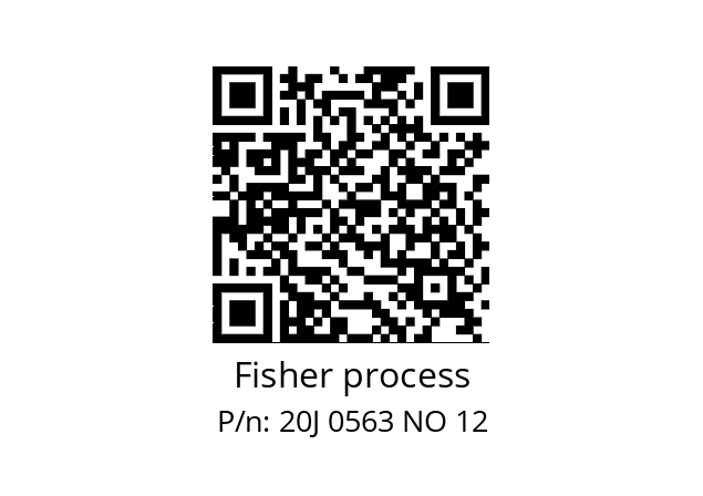   Fisher process 20J 0563 NO 12