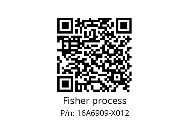   Fisher process 16A6909-X012