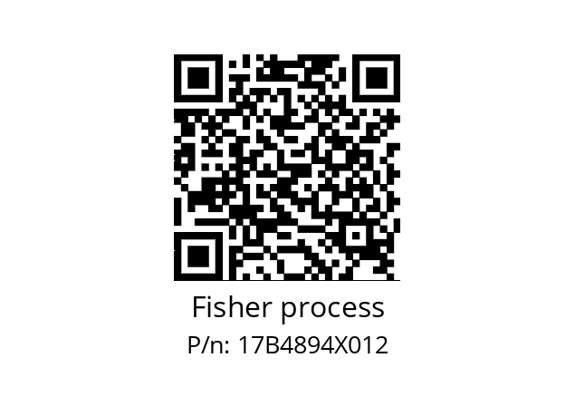   Fisher process 17B4894X012