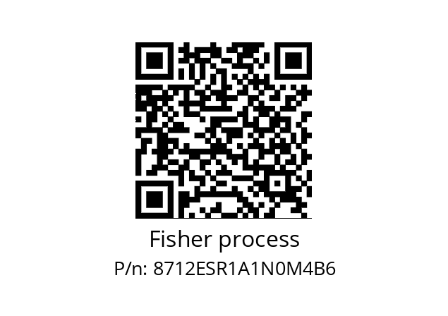   Fisher process 8712ESR1A1N0M4B6