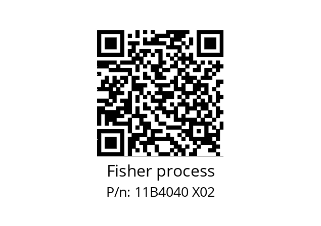   Fisher process 11B4040 X02