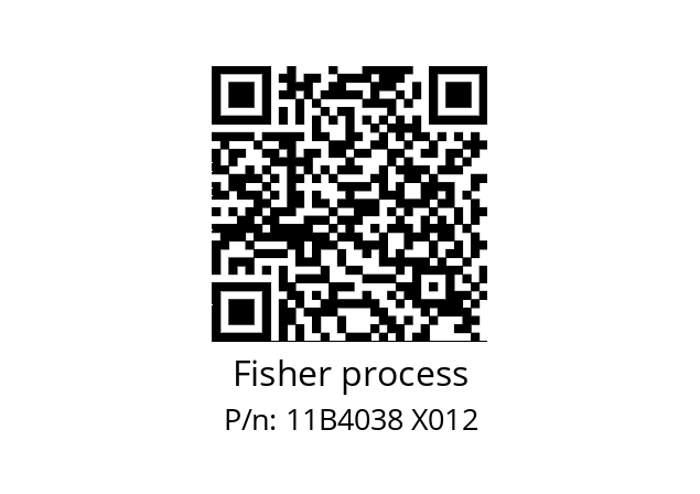   Fisher process 11B4038 X012