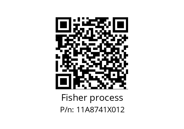   Fisher process 11A8741X012