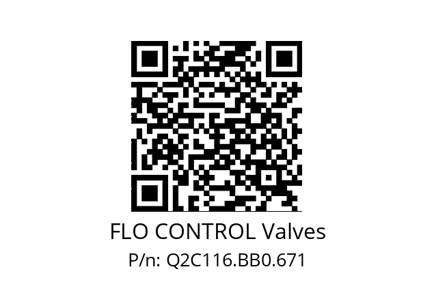   FLO CONTROL Valves Q2C116.BB0.671