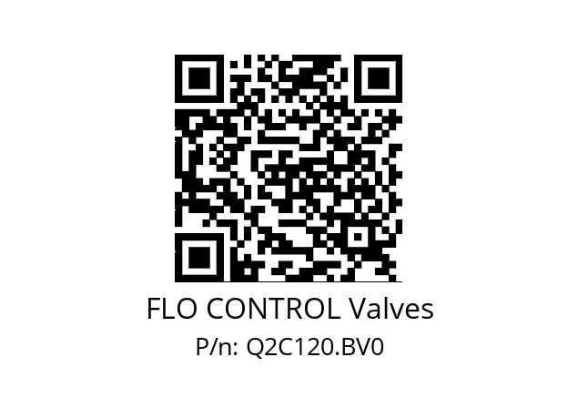   FLO CONTROL Valves Q2C120.BV0