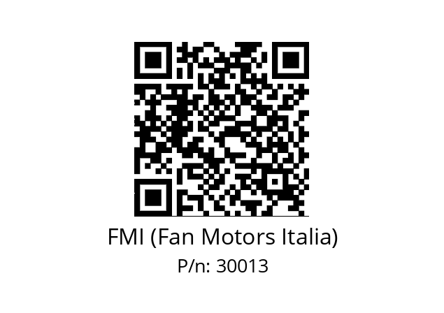   FMI (Fan Motors Italia) 30013