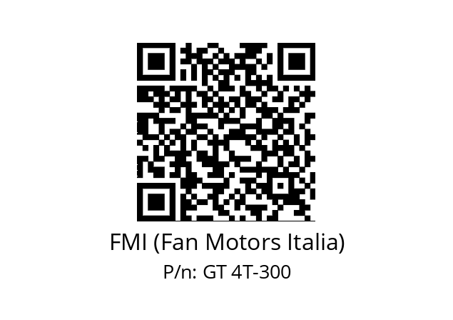   FMI (Fan Motors Italia) GT 4T-300