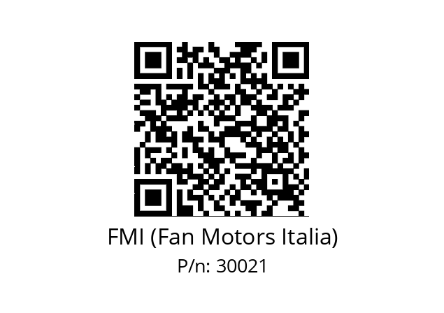   FMI (Fan Motors Italia) 30021