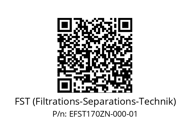   FST (Filtrations-Separations-Technik) EFST170ZN-000-01