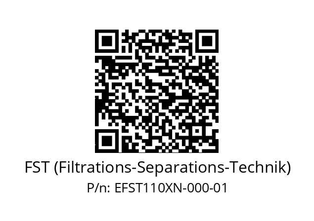   FST (Filtrations-Separations-Technik) EFST110XN-000-01