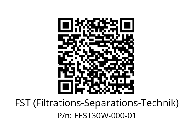   FST (Filtrations-Separations-Technik) EFST30W-000-01