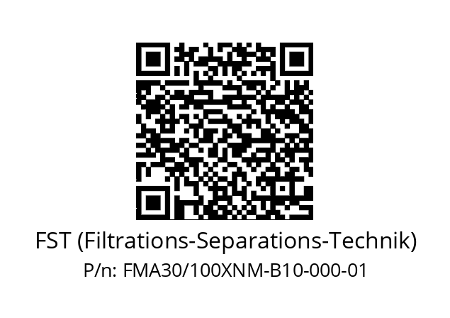   FST (Filtrations-Separations-Technik) FMA30/100XNM-B10-000-01