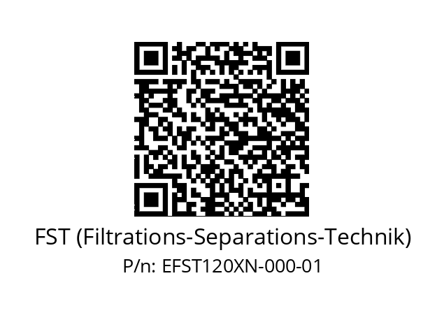   FST (Filtrations-Separations-Technik) EFST120XN-000-01