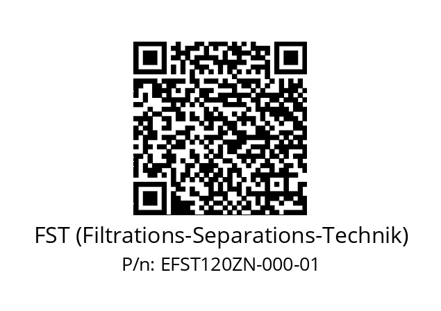   FST (Filtrations-Separations-Technik) EFST120ZN-000-01