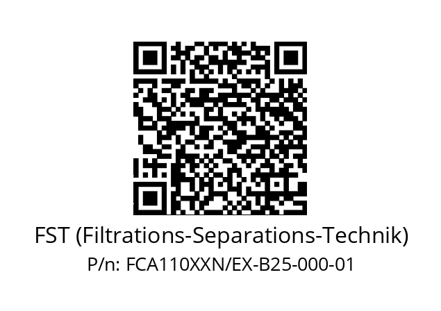   FST (Filtrations-Separations-Technik) FCA110XXN/EX-B25-000-01