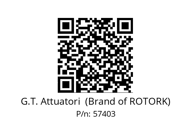   G.T. Attuatori  (Brand of ROTORK) 57403