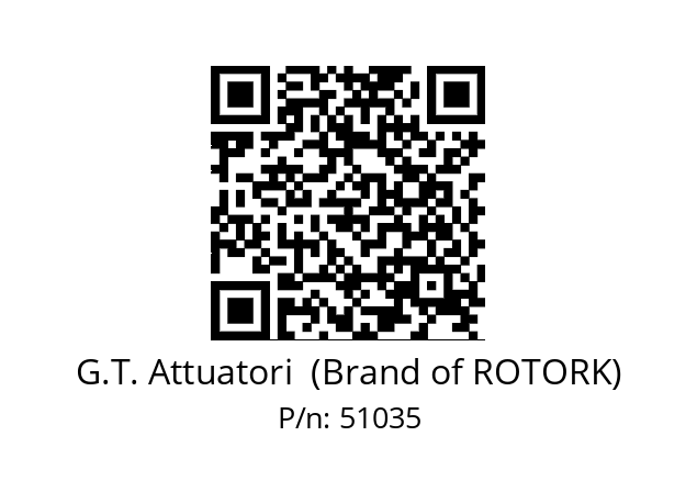   G.T. Attuatori  (Brand of ROTORK) 51035