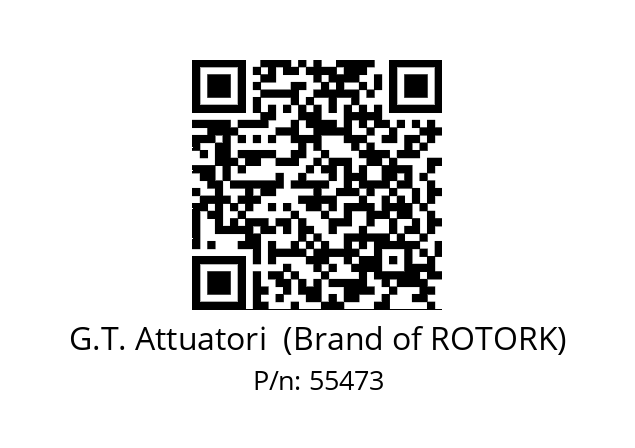   G.T. Attuatori  (Brand of ROTORK) 55473