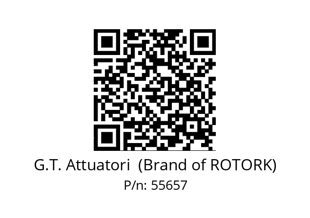   G.T. Attuatori  (Brand of ROTORK) 55657