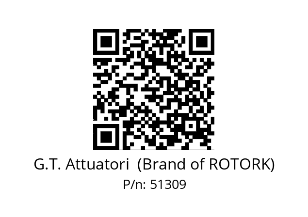   G.T. Attuatori  (Brand of ROTORK) 51309