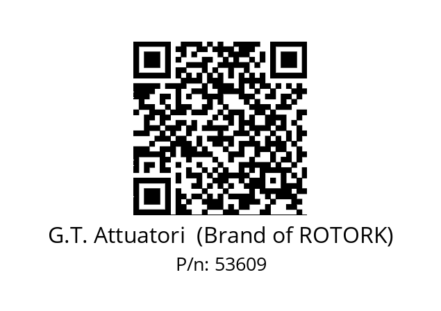   G.T. Attuatori  (Brand of ROTORK) 53609